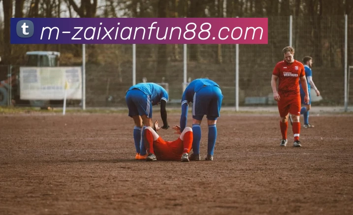 App Interface Preview