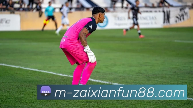 在线FUN88APP 封面图